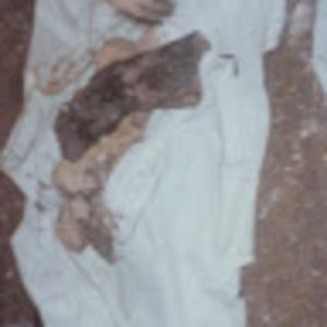 Meet your Posher, Ronnie